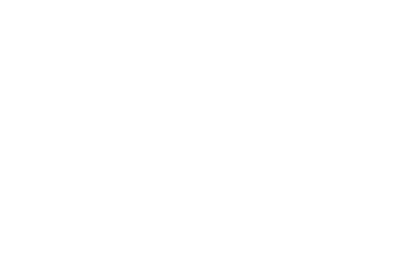 Logo de SELEKT