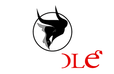 Logo de Torolé TV